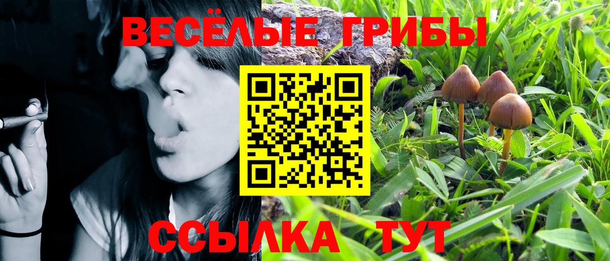 Псилоцибиновые грибы Magic Shrooms  Вход с VPN  Кудрово 